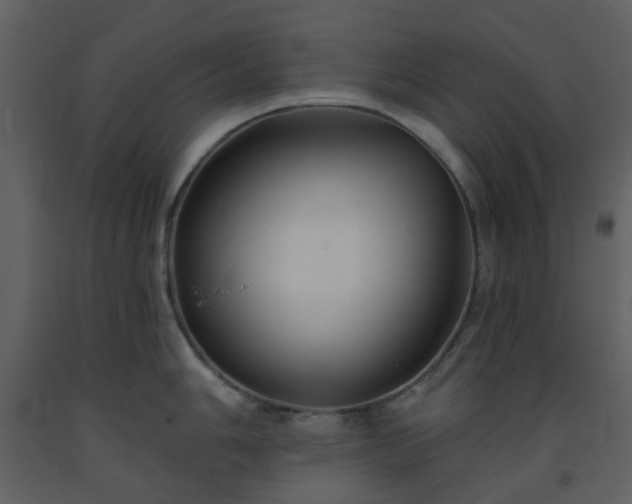 X0000093581006200710221459