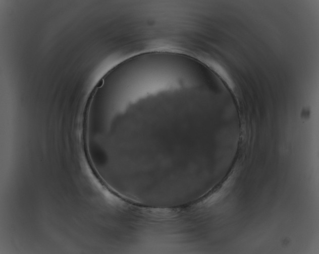 X0000093581007200710221459