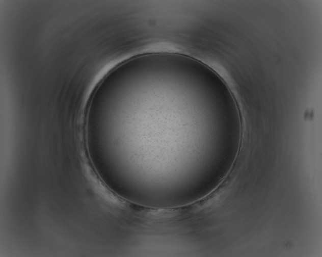 X0000093581008200710221459