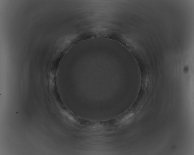 X0000093581010200710221459