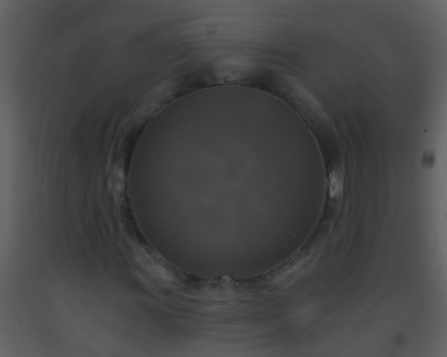 X0000093581011200710221459