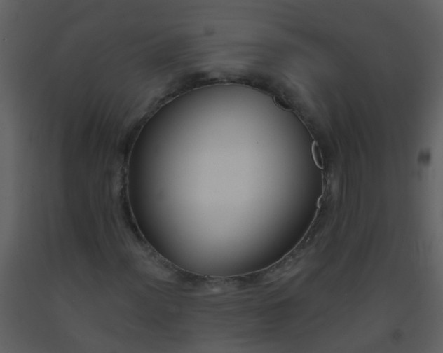 X0000093581012200710221459