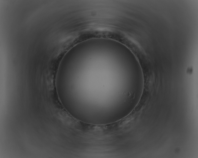 X0000093581013200710221459