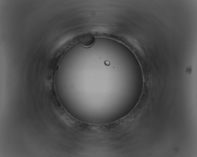 X0000093581015200710221459