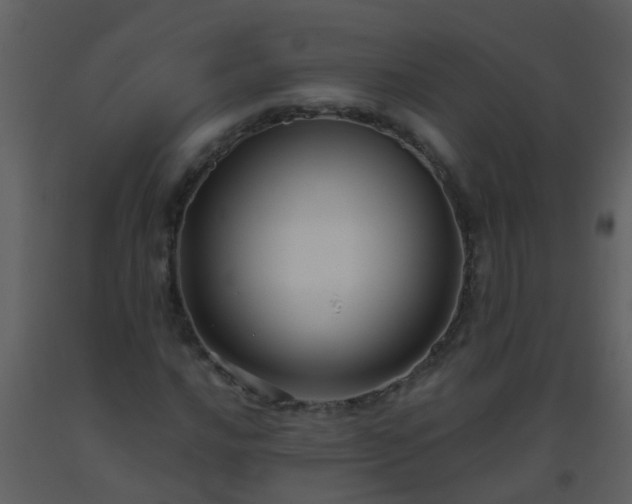 X0000093581016200710221459