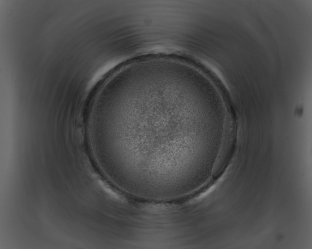X0000093581018200710221459