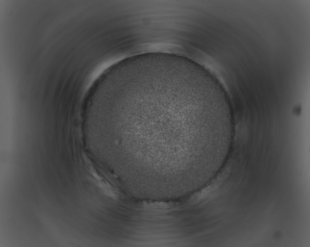 X0000093581019200710221459