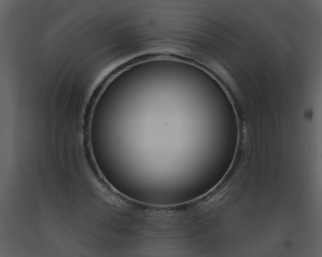 X0000093581020200710221459