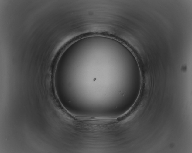 X0000093581021200710221459