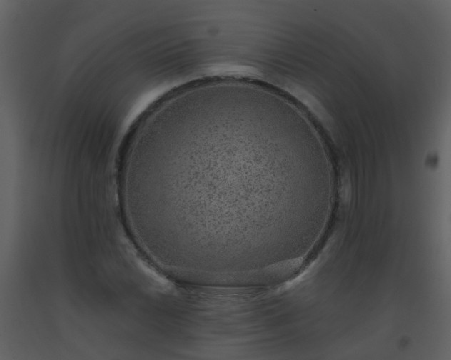 X0000093581022200710221459