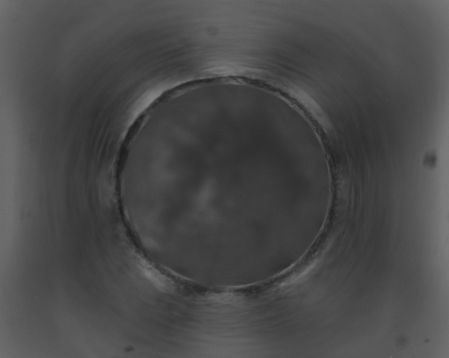 X0000093581023200710221459