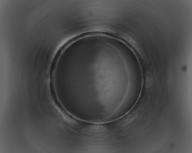 X0000093581024200710221459