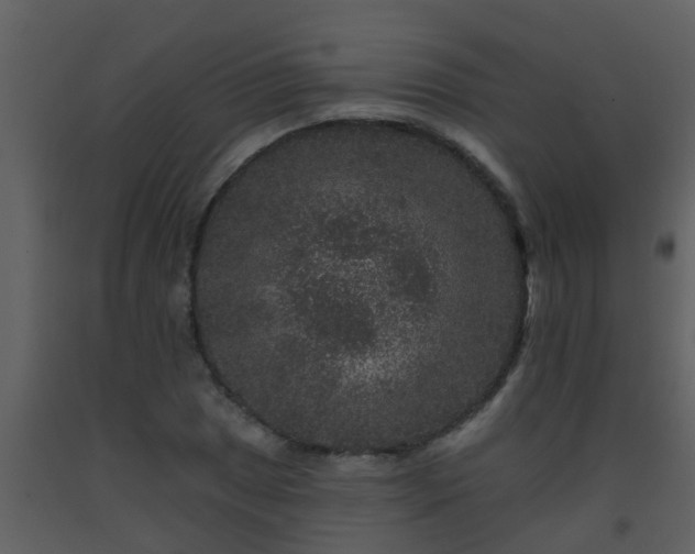 X0000093581025200710221459