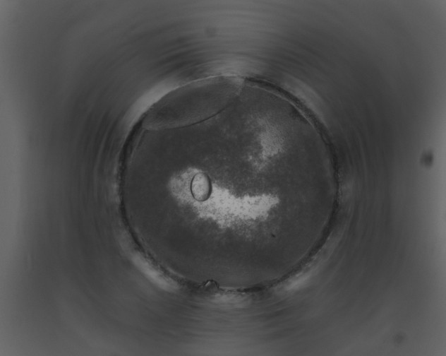 X0000093581026200710221459