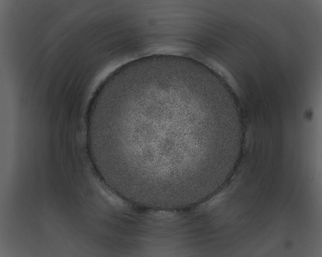 X0000093581027200710221459