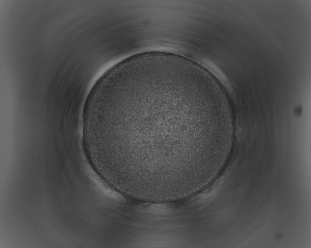 X0000093581028200710221459