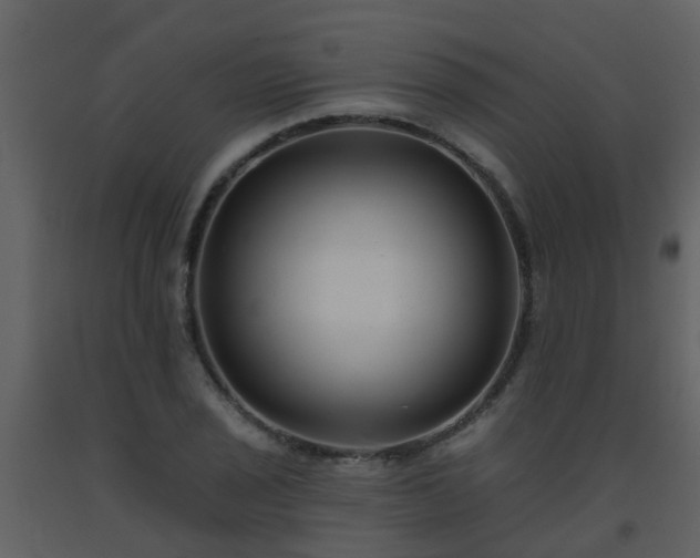 X0000093581029200710221459