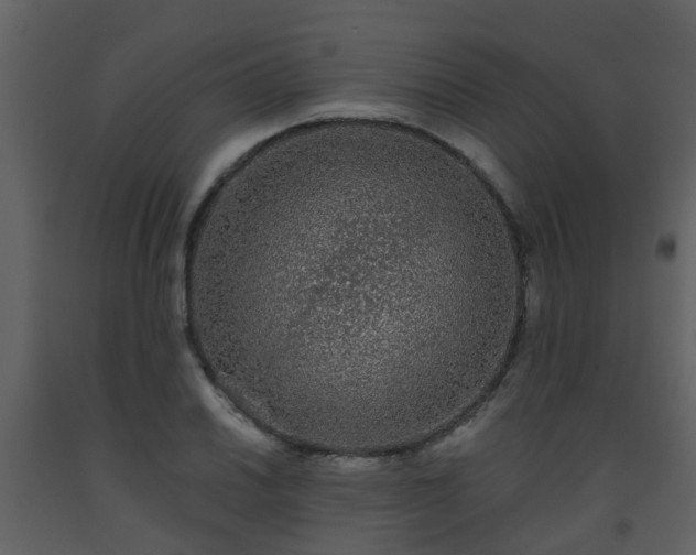 X0000093581030200710221459