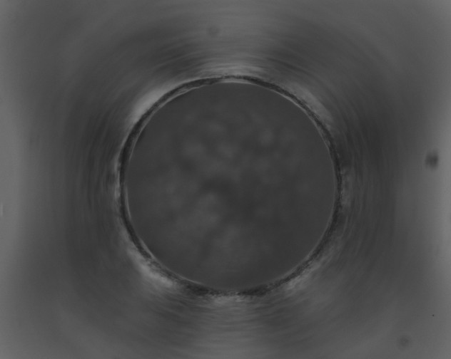 X0000093581031200710221459