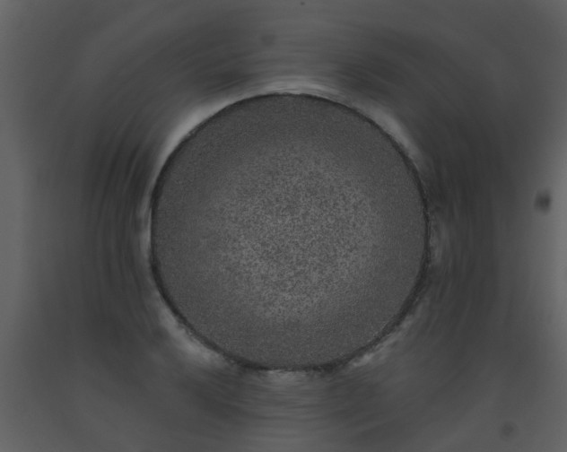 X0000093581032200710221459