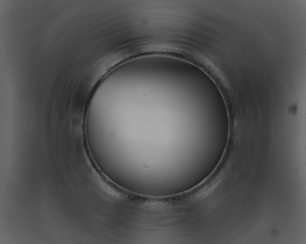 X0000093581033200710221459
