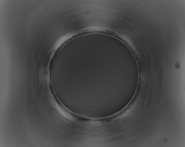 X0000093581034200710221459