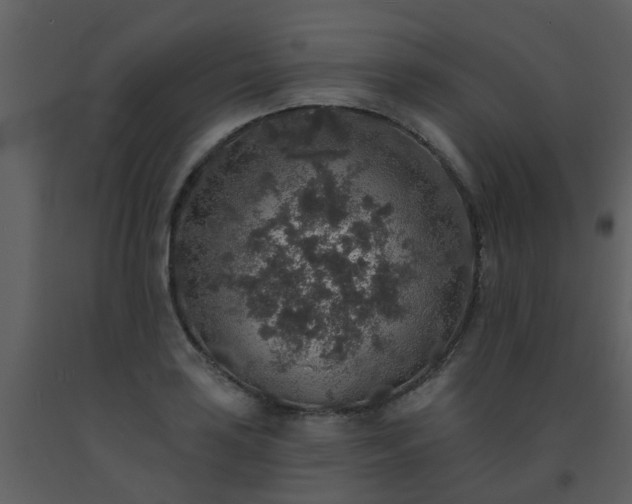 X0000093581035200710221459