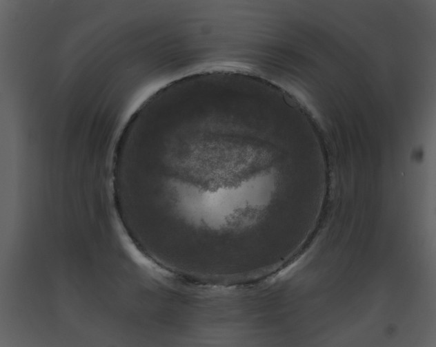 X0000093581038200710221459