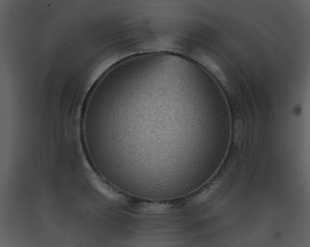 X0000093581039200710221459