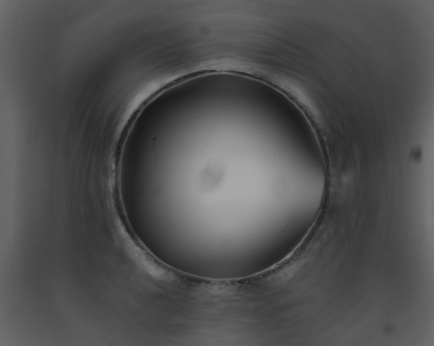 X0000093581040200710221459