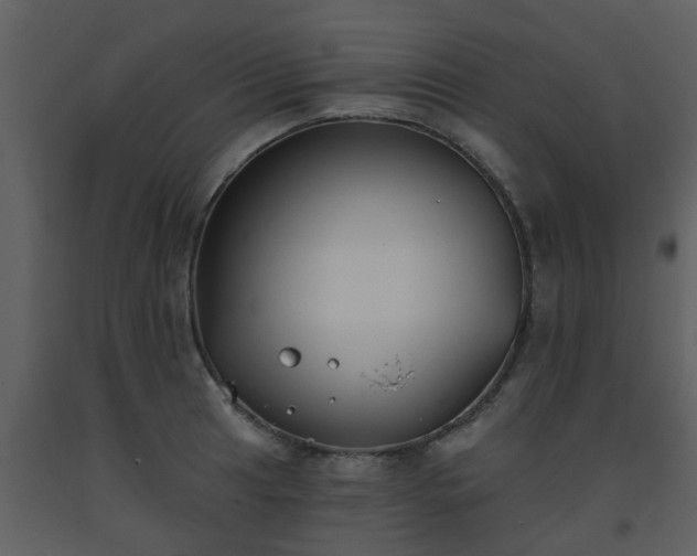 X0000093581041200710221459