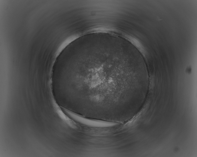 X0000093581042200710221459