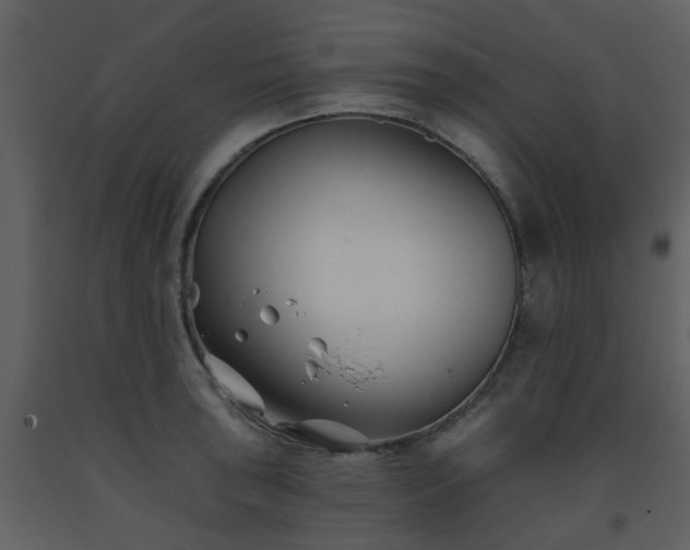 X0000093581043200710221459