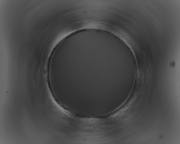 X0000093581045200710221459