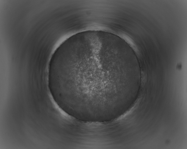 X0000093581046200710221459