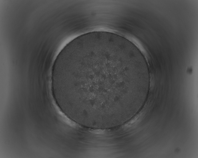 X0000093581048200710221459