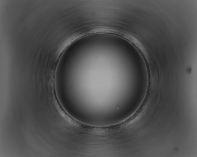 X0000093581049200710221459