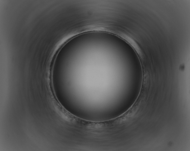 X0000093581051200710221459