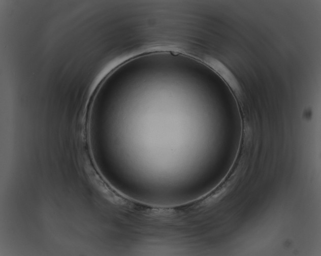X0000093581052200710221459