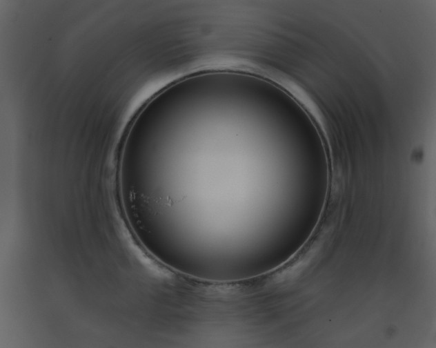 X0000093581053200710221459