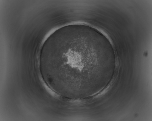 X0000093581054200710221459