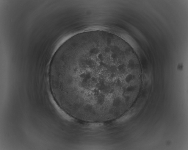 X0000093581055200710221459