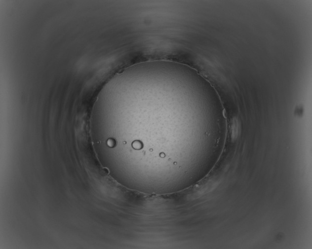 X0000093581059200710221459