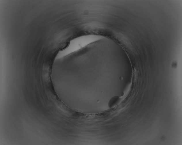 X0000093581060200710221459