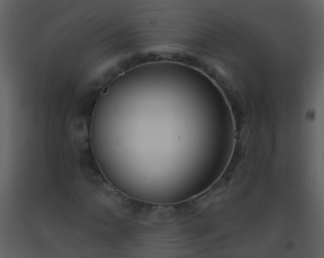 X0000093581062200710221459