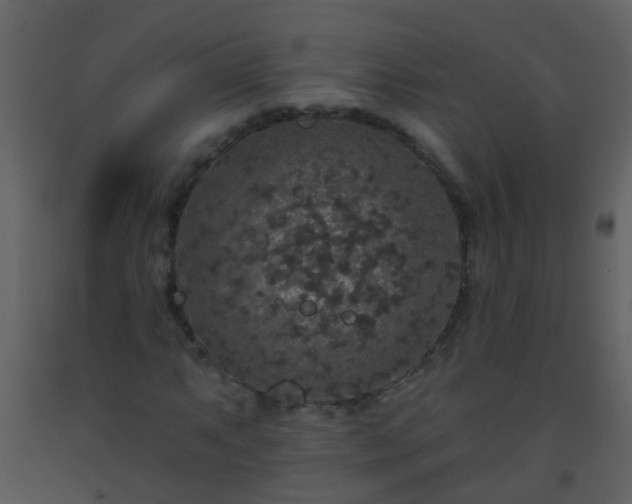 X0000093581063200710221459