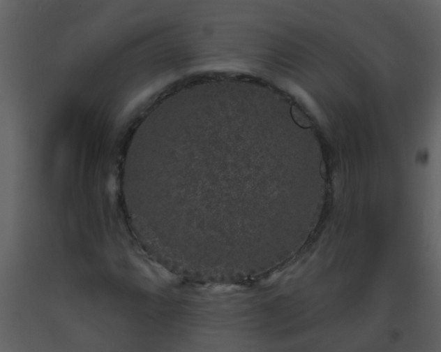 X0000093581064200710221459