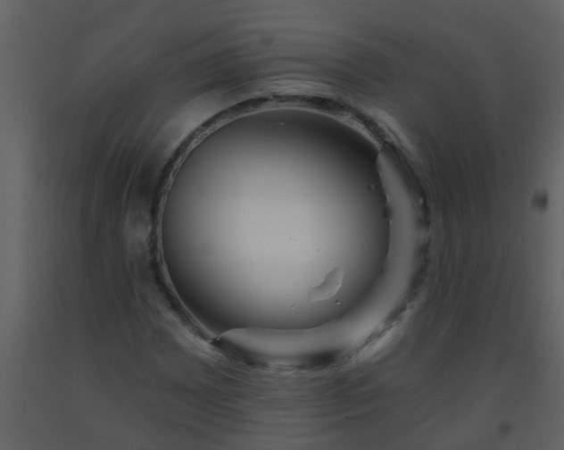 X0000093581065200710221459