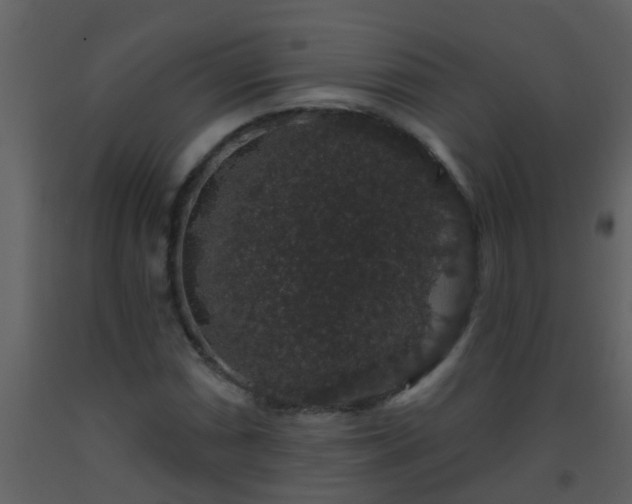 X0000093581066200710221459
