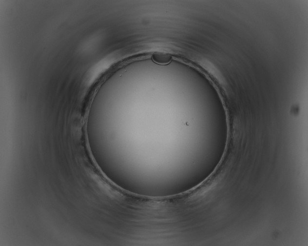 X0000093581067200710221459